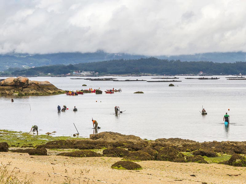 Alquiler de Barco por Rías Baixas